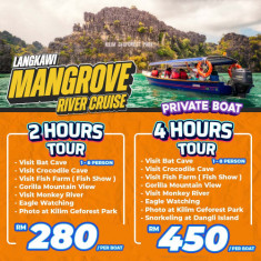 LANGKAWI MANGROVE / Per Boat 